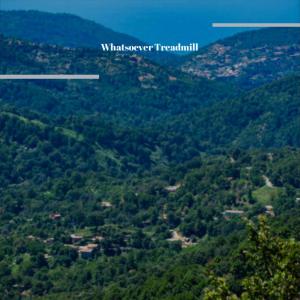 Various的专辑Whatsoever Treadmill