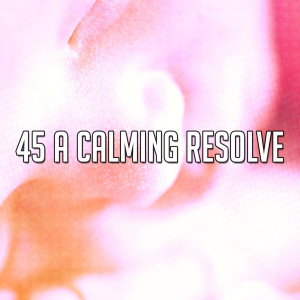 อัลบัม 45 A Calming Resolve ศิลปิน Sleep Baby Sleep