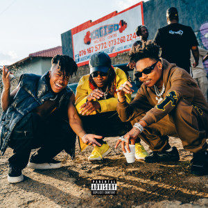 Album Check Freestyle (Explicit) from Majorsteez