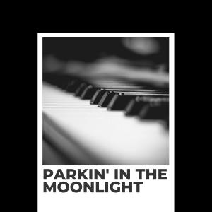 Billy Cotton & His Band的專輯Parkin' In the Moonlight