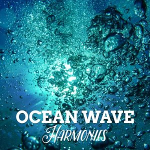 ดาวน์โหลดและฟังเพลง Waves into Sand Bank พร้อมเนื้อเพลงจาก Outside Broadcast Recordings