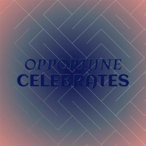 Various Artists的專輯Opportune Celebrates