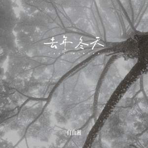 Listen to 去年冬天说好了要一起看雪 song with lyrics from 自由湘