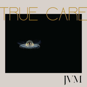 收听James Vincent McMorrow的True Care歌词歌曲