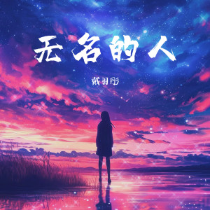 Album 无名的人 (敬平凡) from 戴羽彤