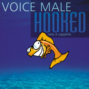 ดาวน์โหลดและฟังเพลง Light In Your Eyes พร้อมเนื้อเพลงจาก Voice Male