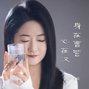 Album 身在曹营心在汉 from 赵洋