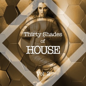 Album Thirty Shades of House, Vol. 2 oleh Various Artists