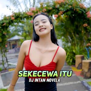 DJ Intan Novela的專輯Sekecewa Itu (Remix)