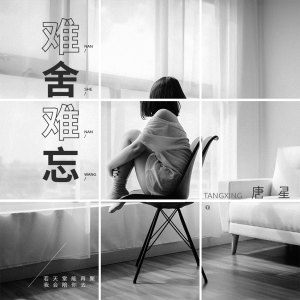 唐星的专辑难舍难忘