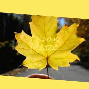 Various Artists的專輯Obvious Marc