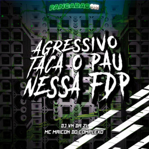 收聽DJ VN DA ZL的AGRESSIVO TACA O PAU NESSA FDP (Explicit)歌詞歌曲