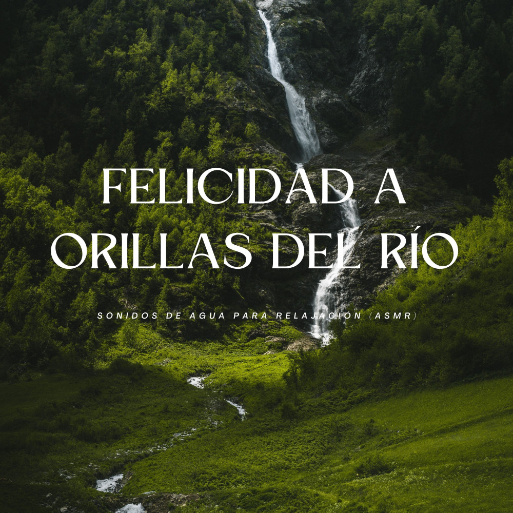 Tranquilidad En La Orilla Del Río
