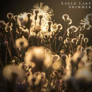 Eagle Lake的專輯Shimmer