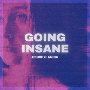 Listen to Going Insane song with lyrics from Heuse