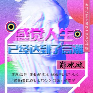 Listen to 感觉人生已经达到了高潮 (完整版) song with lyrics from 郑冰冰