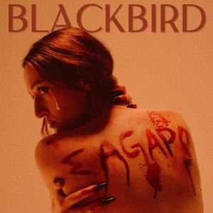收聽Blackbird的S'agapó歌詞歌曲