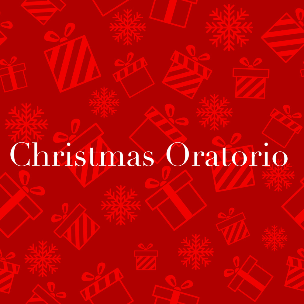 J.S. Bach: Christmas Oratorio, BWV 248 / Part One - For The First Day Of Christmas - No. 4  Aria: " Bereite dich, Zion"