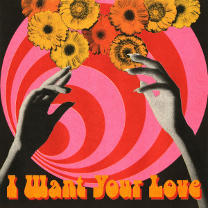 The Tazers的專輯I Want Your Love