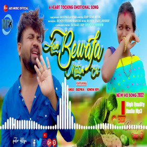 อัลบัม Aam Bewafa Metam Chi ศิลปิน Bunty