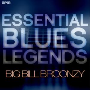 ดาวน์โหลดและฟังเพลง Whisky And Good Time Blues พร้อมเนื้อเพลงจาก Big Bill Broonzy