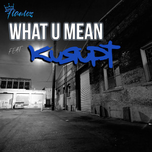 Flawless Torres的專輯What U Mean (Explicit)