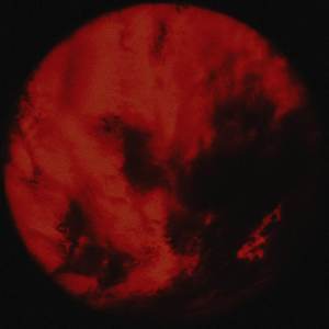 ดาวน์โหลดและฟังเพลง sleepwalking พร้อมเนื้อเพลงจาก anatu