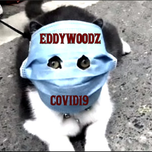 ดาวน์โหลดและฟังเพลง Covid19 (Explicit) พร้อมเนื้อเพลงจาก Eddy Woodz