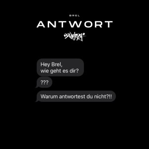 Listen to Antwort song with lyrics from Brel