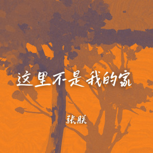 張朕的專輯這裏不是我的家