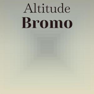 Various的专辑Altitude Bromo