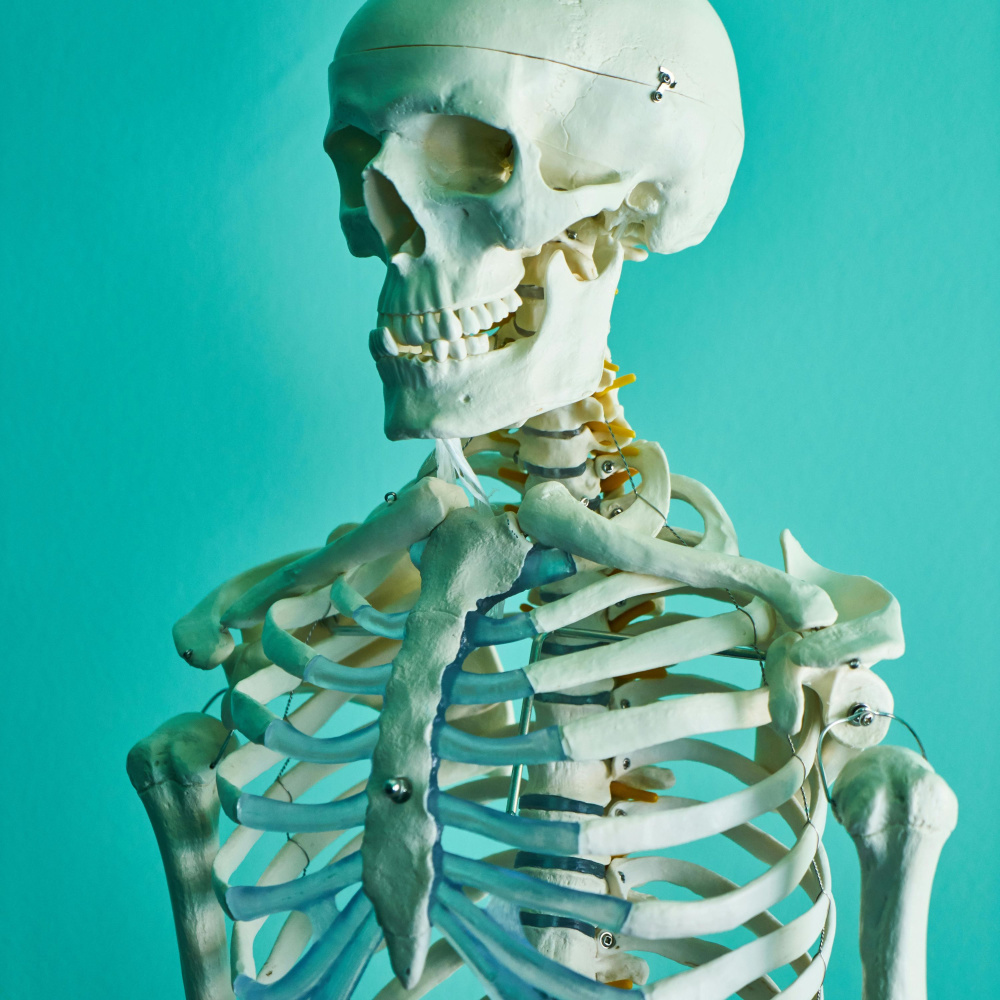Dr. Kevorkian (Explicit)