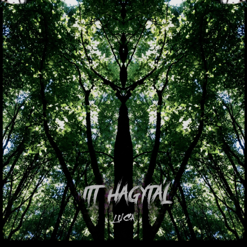 Itt hagytál