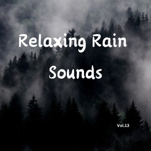 Relaxing Rain Sounds (Vol.13)