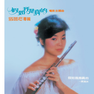 ดาวน์โหลดและฟังเพลง Qing Hu พร้อมเนื้อเพลงจาก 邓丽君