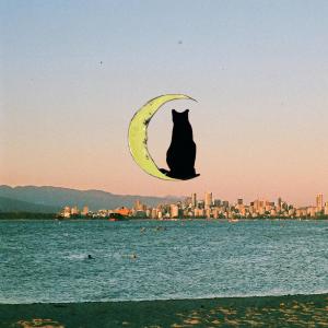 default album img