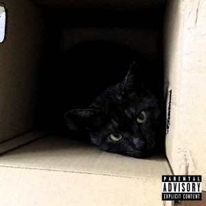 Listen to Hard (feat. Mt') (Explicit) song with lyrics from CHILLCAT THE BASTET