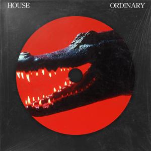 收聽Levyn的ORDINARY (HOUSE)歌詞歌曲