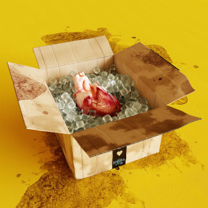 Dengarkan Die Liebe in Zeiten von Amazon Prime lagu dari Das Lumpenpack dengan lirik