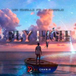 Listen to Fly High(feat. Dj Charlo) song with lyrics from Mr Smallz
