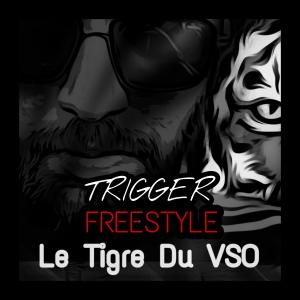 Trigger Le Tigre du VSO Freestyle (Explicit)