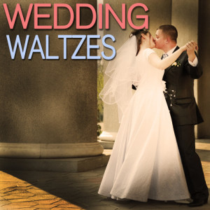 ดาวน์โหลดและฟังเพลง Der Fledermaus Waltzes พร้อมเนื้อเพลงจาก The Lush Strings
