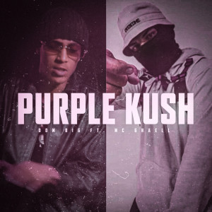 Listen to Purple Kush song with lyrics from Dom Big