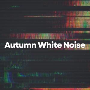 Album Autumn White Noise from White Noise Baby Sleep