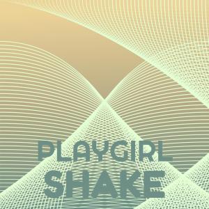 Album Playgirl Shake oleh Various