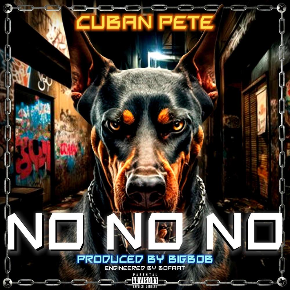 No No No (feat. BigBob) (Explicit)