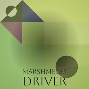 Listen to Obstacle Support song with lyrics from Fredy Imer