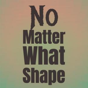 Listen to No Matter What Shape song with lyrics from The T Bones