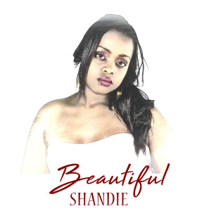 ดาวน์โหลดและฟังเพลง Beautiful พร้อมเนื้อเพลงจาก Shandie