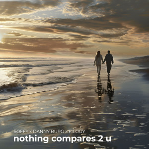 อัลบัม nothing compares 2 u ศิลปิน Danny Burg